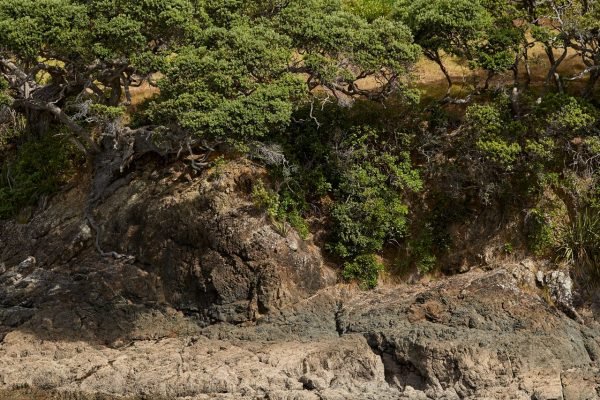 OTC gallery thumbnail