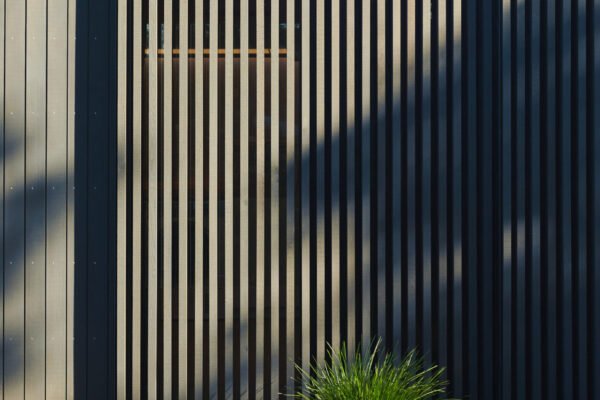 OTC gallery thumbnail