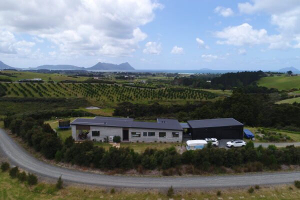 OTC gallery thumbnail